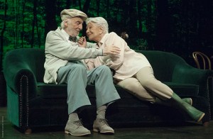 enelestanquedorado-6